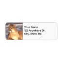 Recherche de animal puma cartes invitations Nature