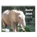 Recherche de zoo bureau fournitures Éléphants