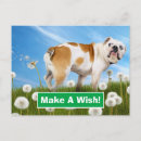 Zoek naar fart grap Bulldog