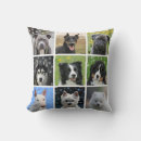 Recherche de chien noir blanc coussins Moderne