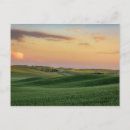 Zoek naar weide briefkaarten Plant