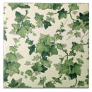 Recherche de lierre carreaux Nature