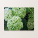 Recherche de hydrangea puzzles Hydrangée