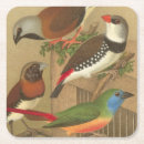 Recherche de verre animaux dessous de dessous de verres Nature