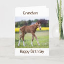 Recherche de petit poney vœux cartes Cheval