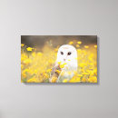 Recherche de toile de hibou Mignon