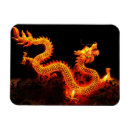 Recherche de lanterne chinoise magnets Asie