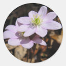 Recherche de fleurs sauvages autocollants Nature