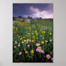 Zoek naar noord amerika posters Wyoming