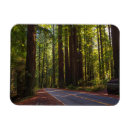 Recherche de la californie magnets Nature