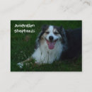 Recherche de berger australien cartes visite Éleveur