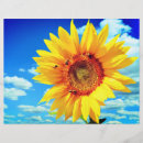 Recherche de tournesol prospectus Pour tous