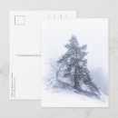 Recherche de couverts cartes postales Sapin