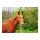 Recherche de appelé photographie Animal