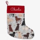 Recherche de labradors chaussette de noël Chiens