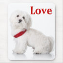 Zoek naar bichon frise muismatten Liefde