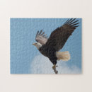 Recherche de aigle puzzles Majestueux