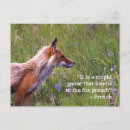 Zoek naar wildlife posters briefkaarten Mooi