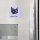 Recherche de politiques magnets Chat
