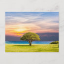 Recherche de herbe cartes postales Paysage