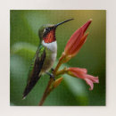 Zoek naar hummingbird puzzels Wild