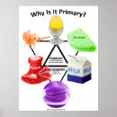 Recherche de couleurs primaires posters Teacher