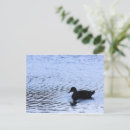 Zoek naar rimpels briefkaarten Water