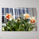 Recherche de conception mignonne posters Fleurs