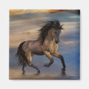 Zoek naar hengst magneten Equine