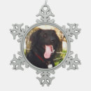 Zoek naar christmas dog ornamenten Naam