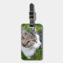 Recherche de téléchargement bagages étiquettes Image