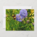 Zoek naar bijen briefkaarten Insect