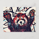 Recherche de panda rouge cartes postales Dessin