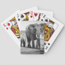 Recherche de regard jeux de cartes Portrait