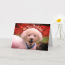 Recherche de anniversaire de caniche Pour elle