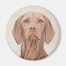 Recherche de chien de vizsla magnets Mignon