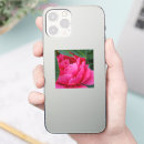 Recherche de peony autocollants Parti