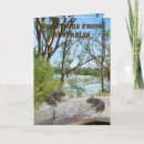 Zoek naar wombats kaarten Australisch