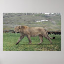 Recherche de animaux préhistoriques posters Antique
