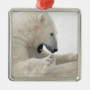Recherche de de dange ornements Animal