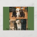 Zoek naar favoriet briefkaarten Foto