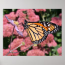 Recherche de fleur de pomme art Papillon