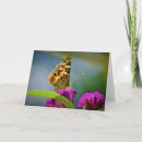 Recherche de peinture papillon vœux cartes Nature