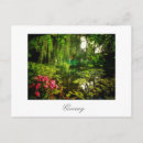Recherche de monet giverny cartes postales Claude