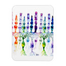 Recherche de tige magnets Aquarelle
