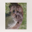 Recherche de otter puzzles Eau