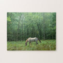 Zoek naar paarden puzzels Begrazing