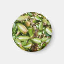 Recherche de jade magnete Vert