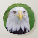 Recherche de oiseau de proie coussins Raptor