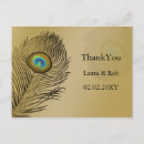 Recherche de plume paon posters Doré
